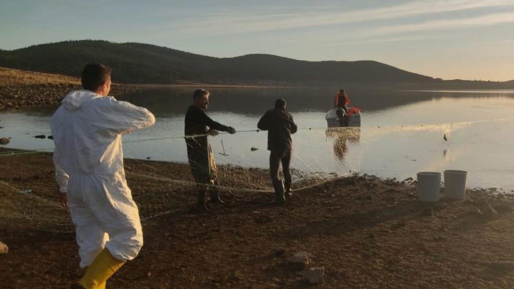 Recupero di una rete da pesca abbandonata di 5 chilometri nel lago di Taşlıyayla: un&#039;operazione di salvataggio per centinaia di pesci