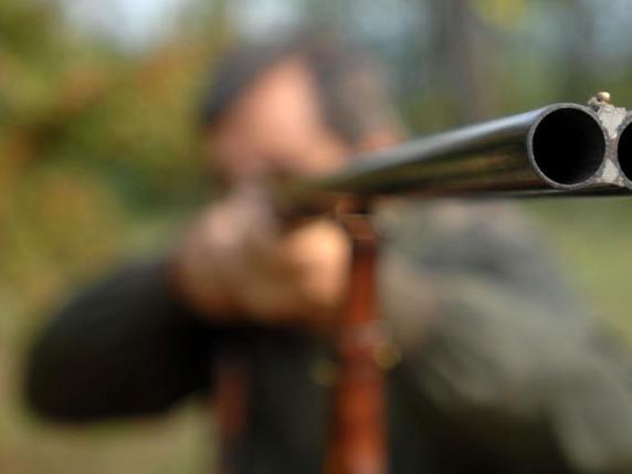 Allarme per la caccia: 55 associazioni denunciano emendamenti pro-caccia nella legge di Bilancio e chiedono trasparenza al Presidente Mattarella