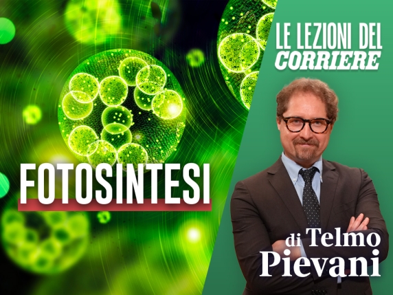 La Rivoluzione dell&#039;Ossigeno: Il Misterioso Processo Vitale che Ancora Non Sappiamo Replicare