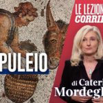 Apuleio e le Metamorfosi: la storia antica che anticipa le fiabe di Walt Disney