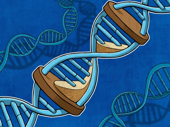 La Vera Età: Come i Test del Sangue e della Saliva Possono Rivelare il Nostro Vero Stato di Salute, ma con Quali Limiti?