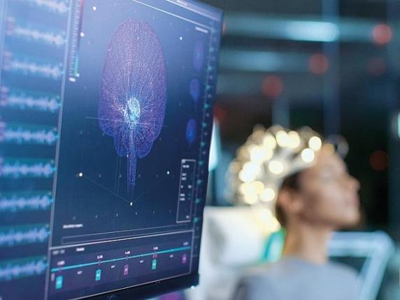 Il Segreto della Lettura Rapida Svelato: I Circuiti Cerebrali che Consentono di Leggere Velocemente