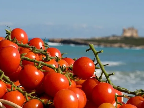 Salmonella nei pomodorini siciliani, la Ue conferma l’ipotesi: tre anni di casi e indagini in 17 Paesi