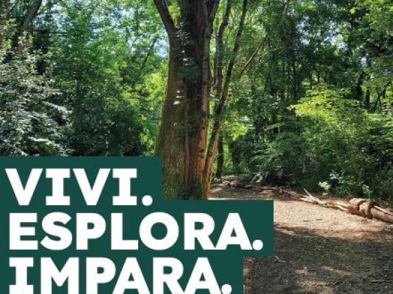 Trasformazione verde a Como: l&#039;ex ospedale psichiatrico diventa un&#039;oasi didattica con 1500 alberi 

Approfondimento
Il progetto di trasformazione dell&#039;ex ospedale psichiatrico di Como in un bosco didattico rappresenta un&#039;importante iniziativa per la valorizzazione dell&#039;area e la promozione della sostenibilità. Questo progetto, denominato &quot;Tapiò&quot;, offre un&#039;opportunità unica per l&#039;educazione ambientale e la sensibilizzazione sull&#039;importanza della protezione dell&#039;ambiente.

Possibili Conseguenze
La realizzazione del bosco didattico &quot;Tapiò&quot; potrebbe avere un impatto positivo sulla comunità locale, offrendo un luogo di apprendimento e di svago per bambini e adulti. Inoltre, contribuirà alla sensibilizzazione sull&#039;importanza della protezione dell&#039;ambiente e alla promozione della sostenibilità.

Opinione
Il progetto &quot;Tapiò&quot; sembra essere un&#039;iniziativa meritevole, che potrebbe avere un effetto benefico sulla comunità e sull&#039;ambiente. Tuttavia, è importante attendere la sua realizzazione e valutare i risultati per comprendere appieno il suo impatto.

Analisi Critica dei Fatti
Il progetto &quot;Tapiò&quot; è stato ideato dalla cooperativa sociale Arca e sarà inaugurato il 20 novembre. Il bosco didattico sarà composto da 1500 alberi e offrirà un&#039;opportunità unica per l&#039;educazione ambientale e la promozione della sostenibilità. La scelta di trasformare l&#039;ex ospedale psichiatrico in un bosco didattico rappresenta un&#039;importante svolta per la valorizzazione dell&#039;area e la promozione della sostenibilità.

Relazioni con altri fatti
Il progetto &quot;Tapiò&quot; si inserisce nel contesto più ampio della valorizzazione delle aree verdi e della promozione della sostenibilità a livello locale e nazionale. Iniziative simili sono state realizzate in altre città italiane, con l&#039;obiettivo di creare spazi di apprendimento e di svago per la comunità.

Contesto storico
L&#039;ex ospedale psichiatrico di Como ha una storia lunga e complessa, e la sua trasformazione in un bosco didattico rappresenta un&#039;importante svolta per la valorizzazione dell&#039;area e la promozione della sostenibilità. La storia dell&#039;ospedale psichiatrico è caratterizzata da momenti di grande importanza per la comunità locale, e la sua trasformazione in un bosco didattico ne rappresenta un nuovo capitolo.

Fonti
La fonte di questo articolo è il sito Corriere della Sera, che ha pubblicato un articolo sul progetto &quot;Tapiò&quot; e la sua inaugurazione il 20 novembre. Per ulteriori informazioni, si consiglia di visitare il sito ufficiale del progetto. Il link diretto all&#039;articolo è https://www.corriere.it/