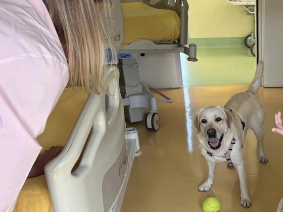 La pet therapy: un aiuto prezioso per i bambini con Sma