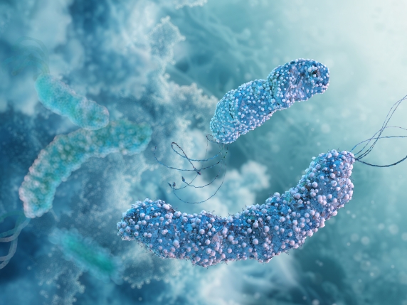 L&#039;Helicobacter pylori: un batterio pericoloso che vive nello stomaco e può causare gravi problemi di salute