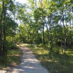 Bosco Selva, l'oasi verdedi querce e farfalle raretra i trulli di Alberobello