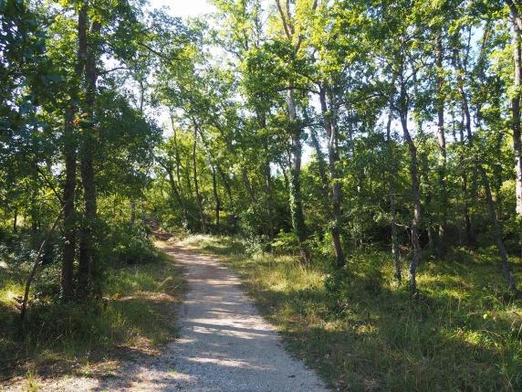 Bosco Selva, l&#039;oasi verdedi querce e farfalle raretra i trulli di Alberobello