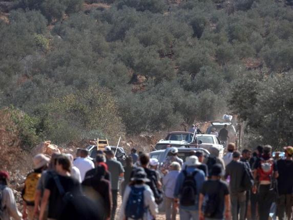Conflitto in Cisgiordania: violenze contro contadini palestinesi e uso di droni contro pacifisti