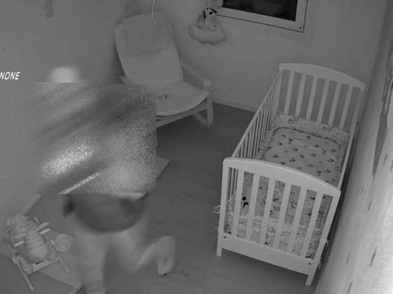 Banda di ladri smantellata: rubavano anche i risparmi dei bambini, dodici furti nel Nord Italia