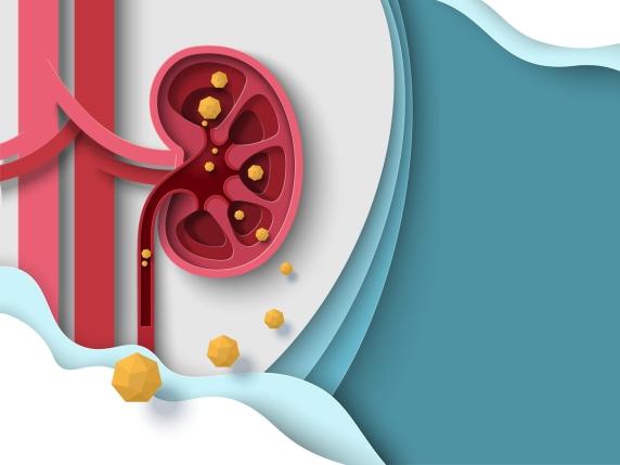 Calcoli renali e coliche renali: cause, sintomi e strategie di prevenzione per una salute renale ottimale