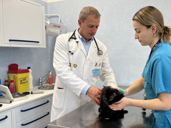 Collaborazione tra il Policlinico Gregorio VII e l&#039;Università di Tor Vergata: un nuovo capitolo nella formazione dei veterinari del futuro