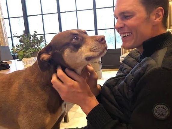 Tom Brady e la clonazione del suo cane: una scelta personale con implicazioni etiche e morali