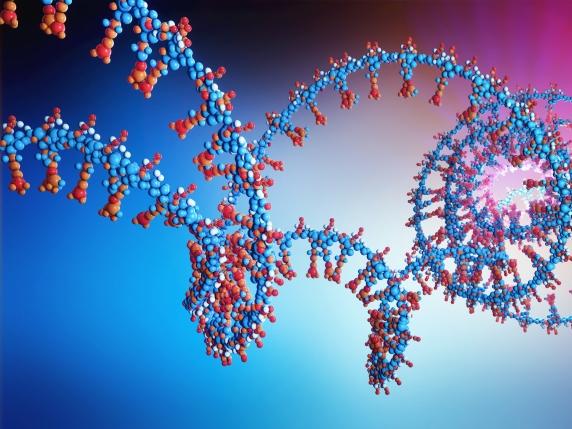 Nuove frontiere nella lotta al colesterolo: i farmaci a RNA, una rivoluzione oltre le statine