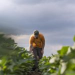 L'agricoltura del futuro: come i giovani stanno rivoluzionando il settore con nuove professioni e tecnologie