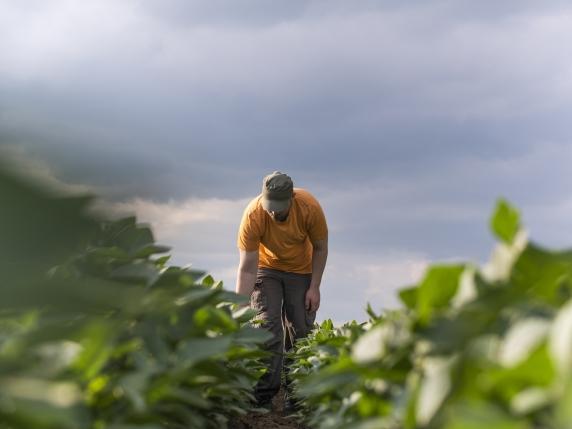 L&#039;agricoltura del futuro: come i giovani stanno rivoluzionando il settore con nuove professioni e tecnologie