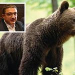 Il Caso dell'Orso M90: Il Presidente del Trentino Fugatti Sottoposto a Processo per Uccisione dell'Animale
