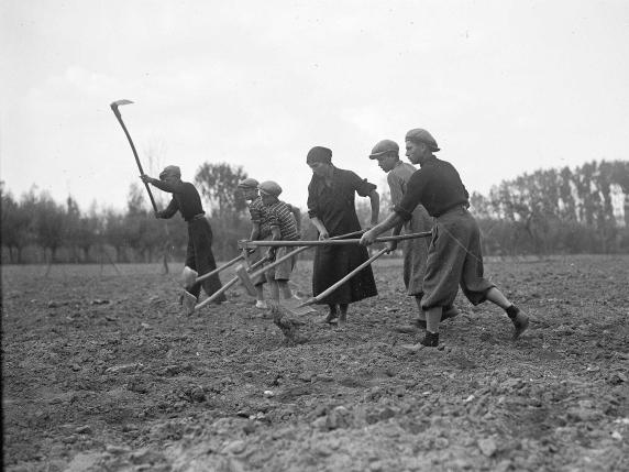 Il Giorno di San Martino: Una Data Cruciale per i Contadini in Regime di Mezzadria