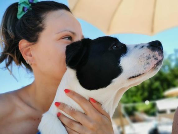 Un cane dalla vita difficile alla felicità: la storia di Brownie, un esempio di speranza e rinascita