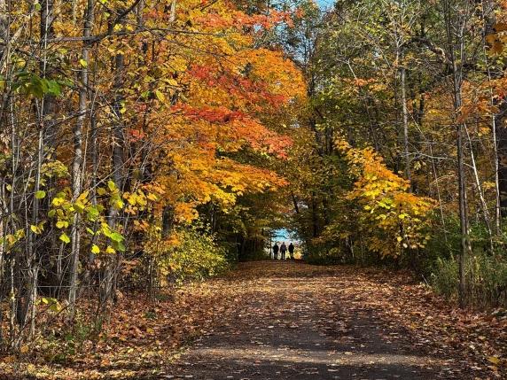 L&#039;arrivo dell&#039;estate di San Martino: cosa significa e come è nata questa leggenda meteorologica