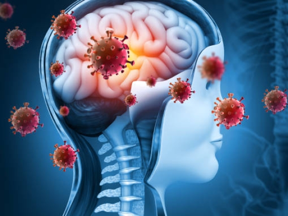 Meningite da Meningococco: Una Malattia Grave ma Prevenibile con la Giusta Informazione e Sensibilizzazione