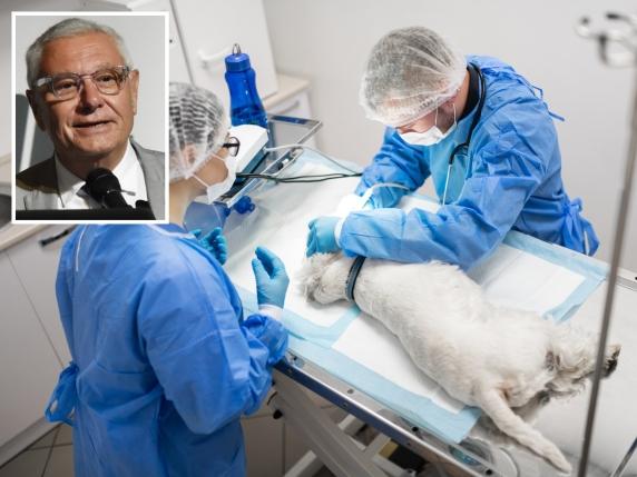«Per noi veterinari gli animali sono vite in cura. E la nostra responsabilità è massima»