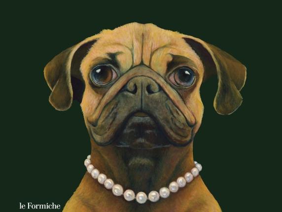 La vita da cane di casa non è sempre facile: capire le esigenze dei nostri amici a quattro zampe per una vita felice e sana