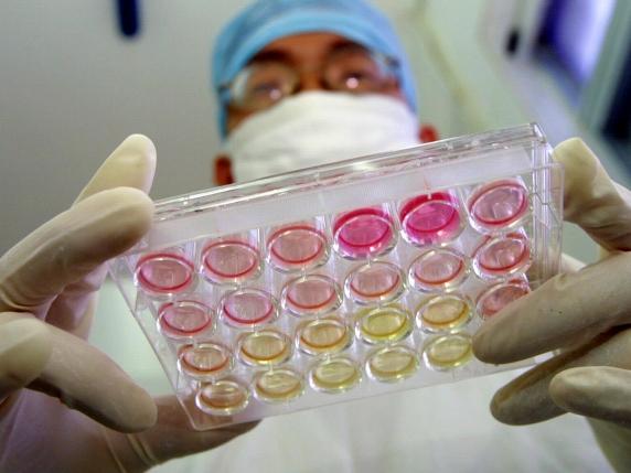 La Cina alla ricerca dell&#039;eterna giovinezza: start up e centri di ricerca per una vita senza fine