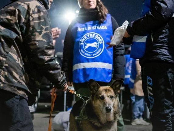 Iniziativa notturna per senzatetto e i loro animali: collaborazione con i Fratelli di San Francesco