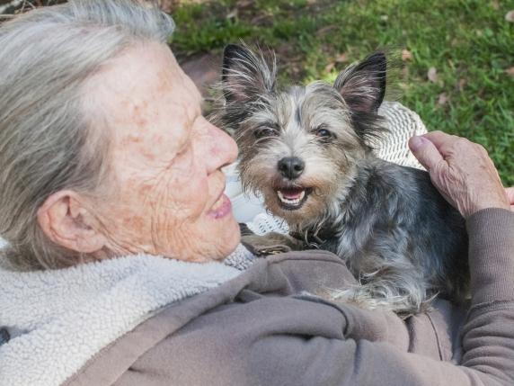 Legge “animalisti”: aiuti per famiglie a basso reddito per cure veterinarie e cibi speciali per animali