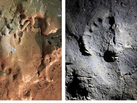 Uomo e cane scoperti insieme in grotta di Toirano 14.000 anni fa