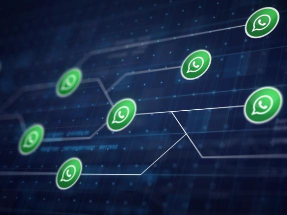 WhatsApp: falla di sicurezza ha esposto i contatti di 3,5 miliardi di utenti