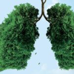 Legambiente avvia 120 iniziative di piantumazione per aumentare la copertura verde in Italia e contrastare la deforestazione globale