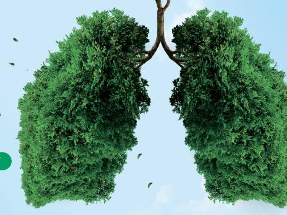 Legambiente avvia 120 iniziative di piantumazione per aumentare la copertura verde in Italia e contrastare la deforestazione globale