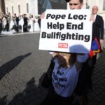 Loredana Cannata arrestata: al Papa Leo, il Vaticano condanna la corrida, non lei