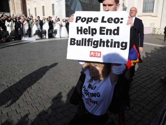 Loredana Cannata arrestata: al Papa Leo, il Vaticano condanna la corrida, non lei