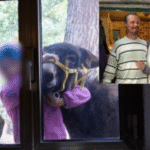 Salvini potrebbe recarsi a Chieti, Meloni ascolta Nordio e valuta incontro con il padre