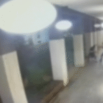 Genitori di 22enne massacrato a Milano chiedono giustizia dopo aggressione a Corso Como