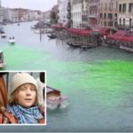 Greta Thunberg partecipa alla protesta: il Canal Grande di Venezia tinto di verde