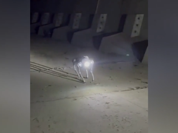 Robot a forma di cane sorvegliano l’autostrada A35 Milano‑Cortina per la sicurezza stradale