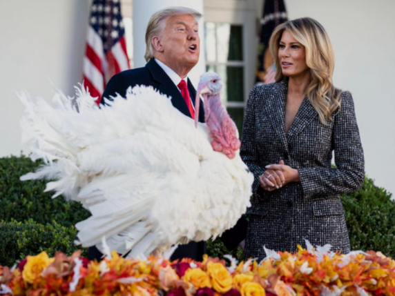 Inflazione negli Stati Uniti: prezzi dei tacchini in calo dopo le uova e l’effetto sul Giorno del Ringraziamento