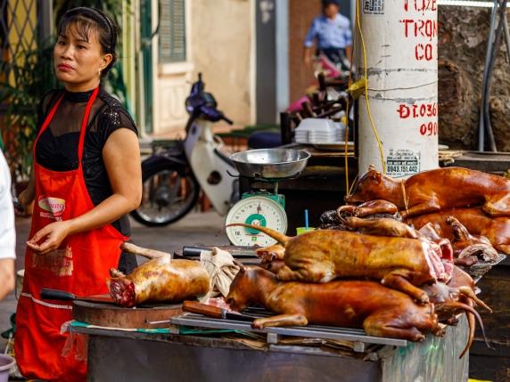 Giacarta vieta la vendita di carne di cane, gatto e pipistrello per prevenire la diffusione della rabbia