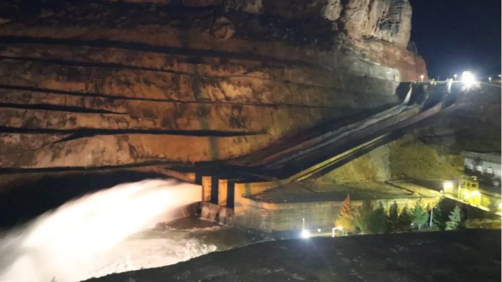 Articolo originale non ricevuto: richiesta di invio