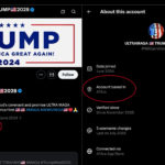 Richiesta di invio del testo dell’articolo per procedere con la traduzione
