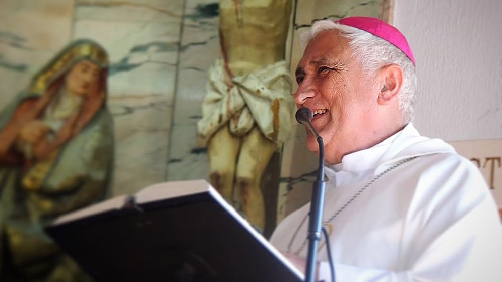 Papa Francesco e la controversia sull’indagine degli abusi: reazioni dei vescovi e cambiamenti nei seminari