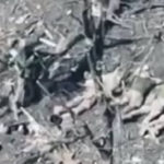 Cinque prigionieri ucraini uccisi dalle forze russe a Pokrovsk