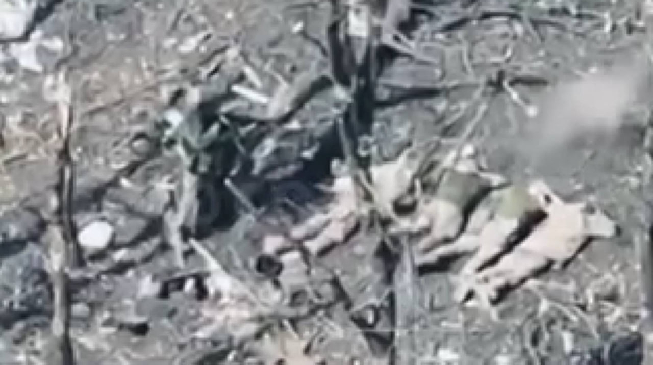 Cinque prigionieri ucraini uccisi dalle forze russe a Pokrovsk