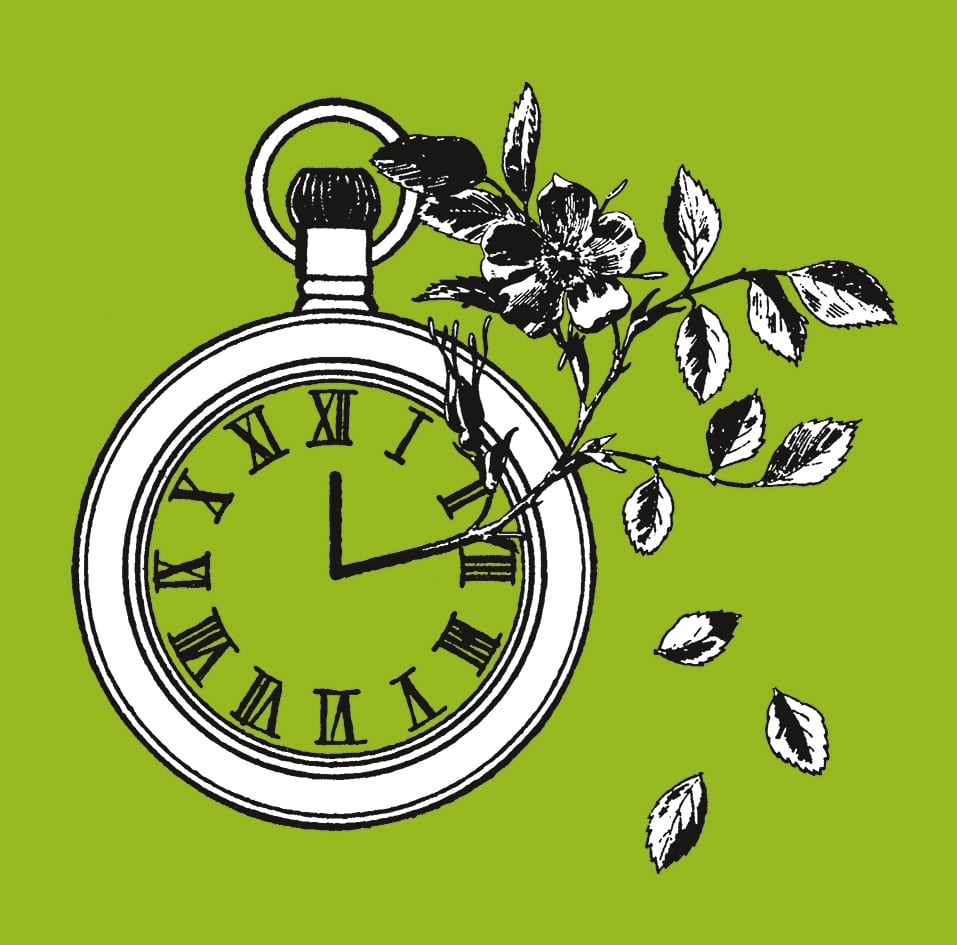 Politiche immediate per fermare la crisi climatica