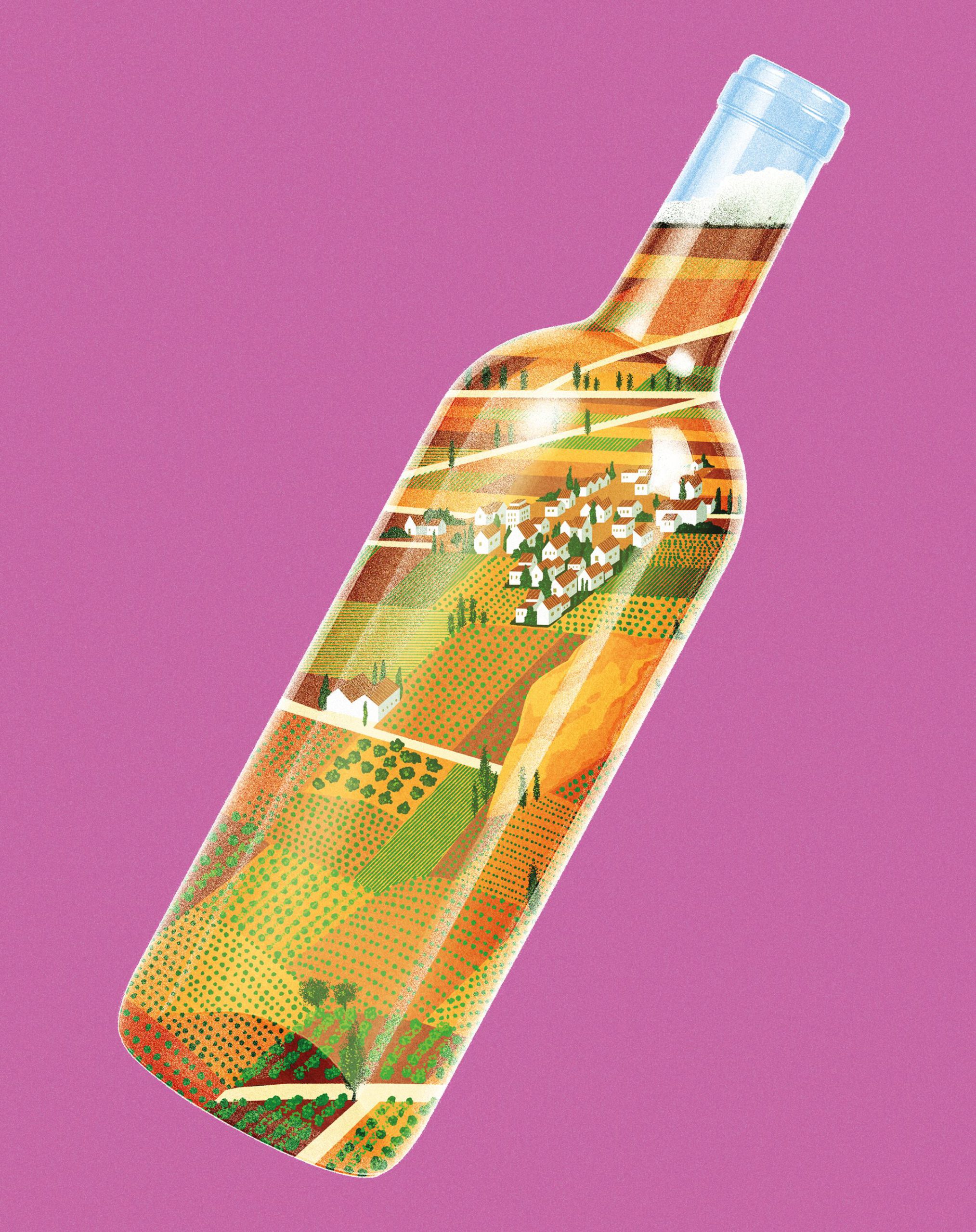 Spagna e il suo vino: produzione, cultura e consigli per l'inverno