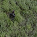 Attacco aereo in Colombia uccide 19 soldati, 7 minori tra le vittime